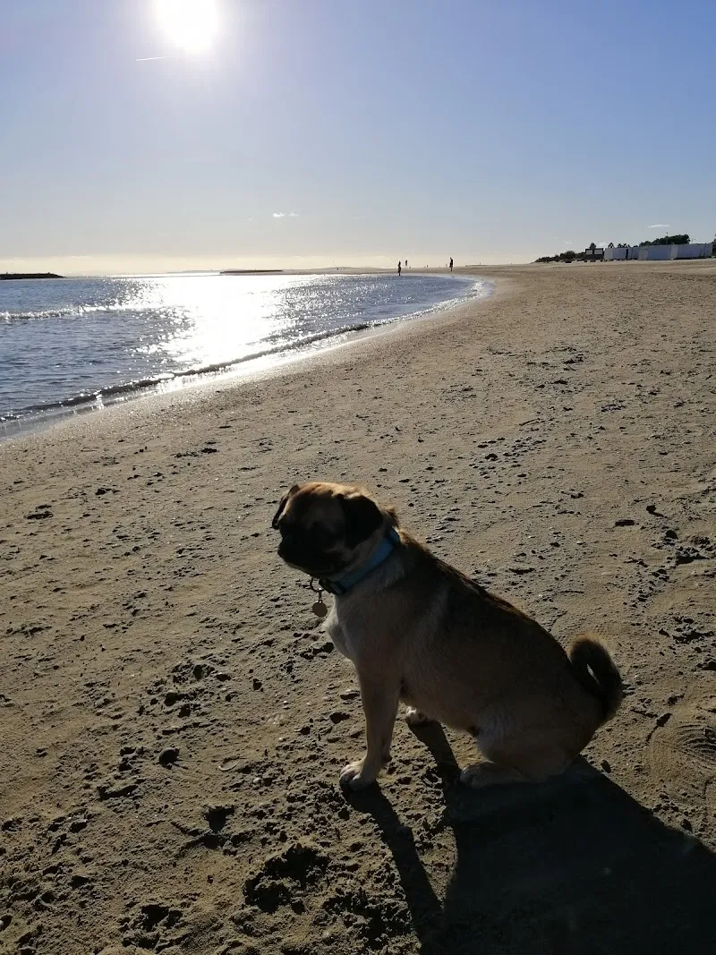MeikoVet Kleintierklinik Dr. Schultheiss — Tierarzt, Wohlen, Aargau. Foto 2