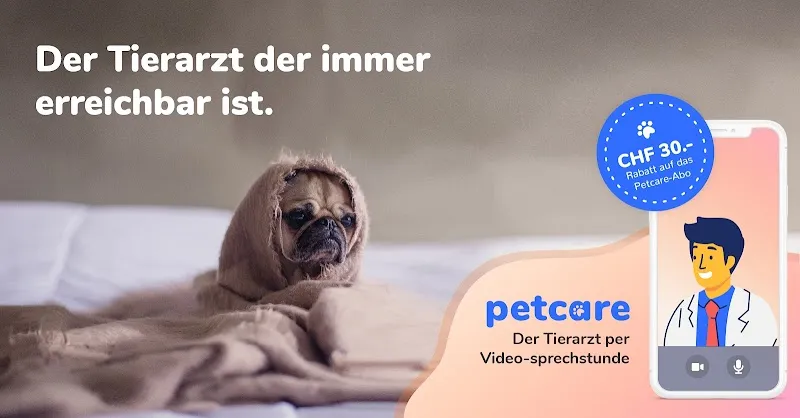 Petcare - Tierarzt per Videosprechstunde — Tierarzt in Villmergen, Aargau. Bewertung 4.2/5.