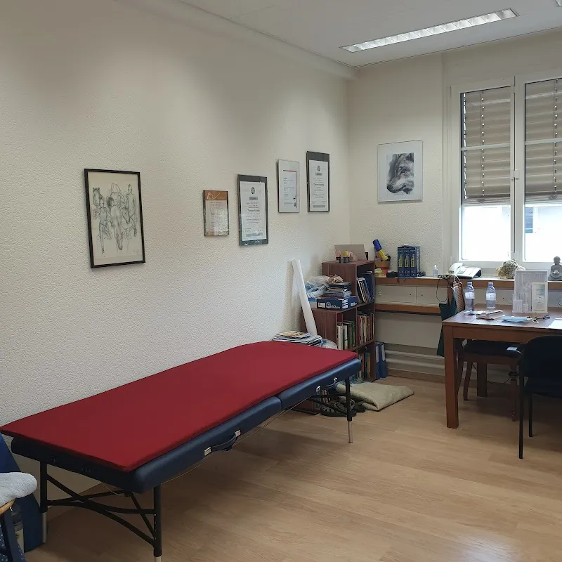 Sybille Aeschbach, Gesundheitspraxis für Mensch & Tier — Tierdienst, Wohlen, Aargau. Foto 3