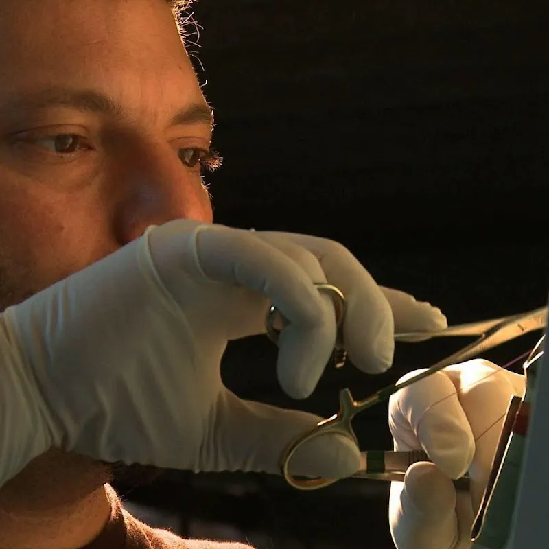 Tierarzt Matthias Volkert — Tierarzt in Giebenach, Basel-Landschaft. Bewertung 4.7/5.