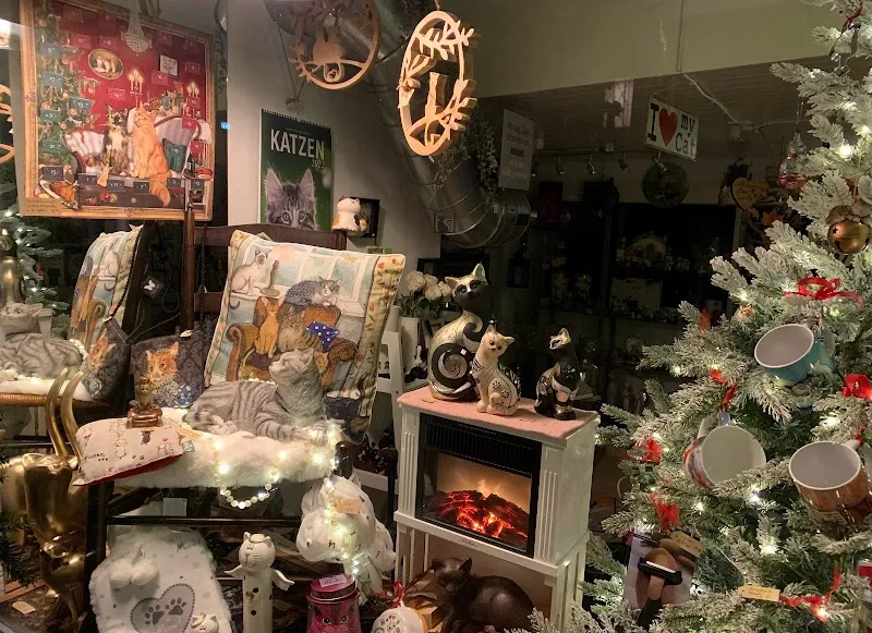 CATLOVERS — Katzenpension, Thun, Bern. Foto 2