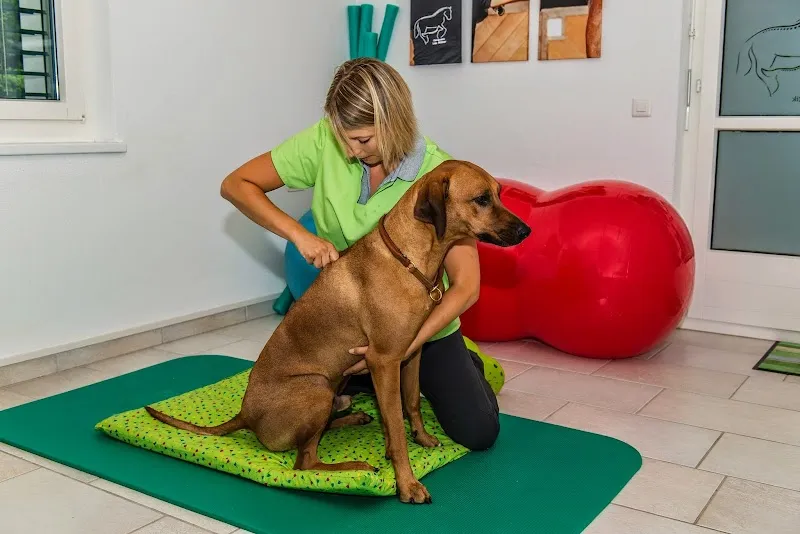 Tierarztpraxis Leuthard — Tierarzt in Künten, Aargau. Bewertung 4.8/5.