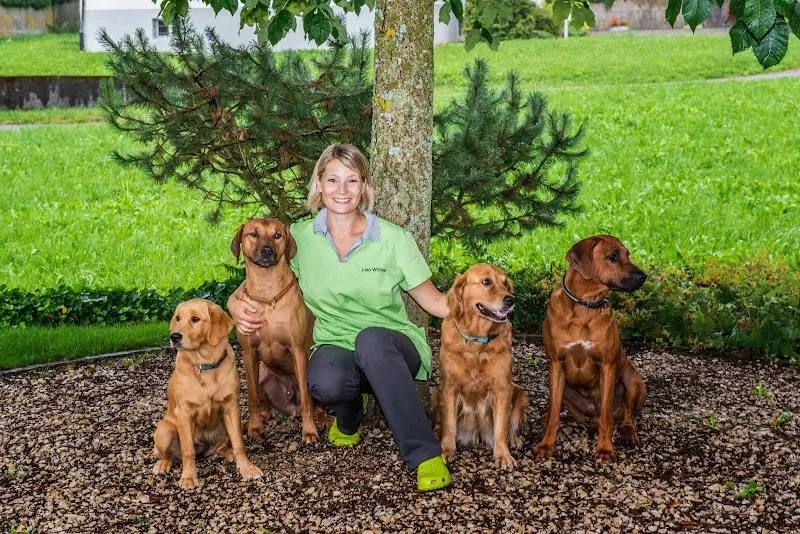 Tierarztpraxis Leuthard — Vétérinaire, Künten, Argovie. Foto 2