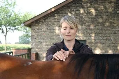 Tierarztpraxis Leuthard — Vétérinaire, Künten, Argovie. Foto 3