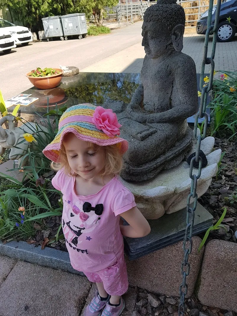 Tierarztpraxis Pfister — Vétérinaire, Maisprach, Bâle-Campagne. Foto 2