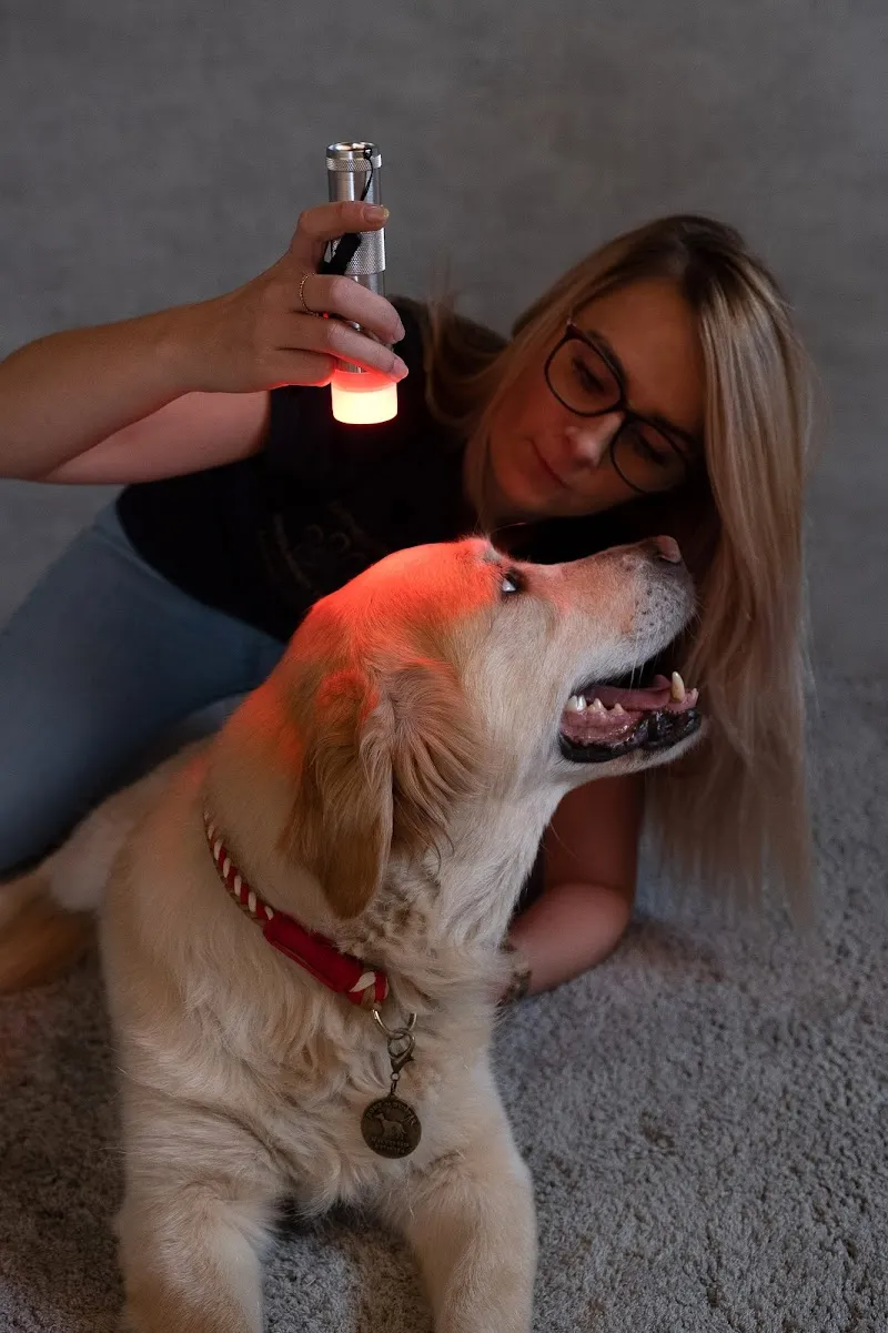 Tierheilpraxis Gesundes Tier - Glückliches Leben — Tierdienst, Hunzenschwil, Aargau. Foto 2