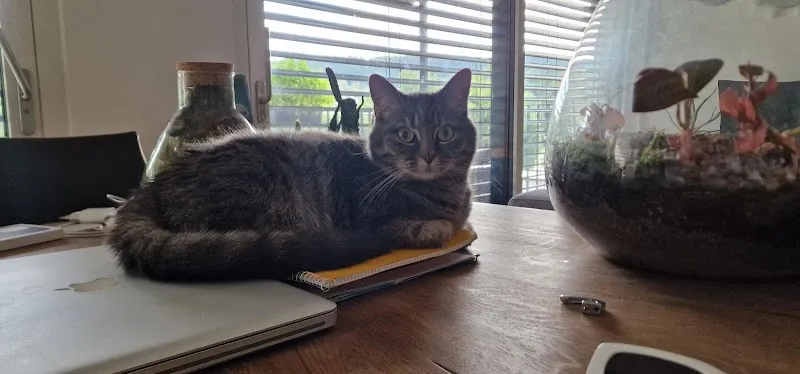 Tierklinik Mellingen (Vetstation AG) — Tierarzt in Mellingen, Aargau. Bewertung 4.6/5.