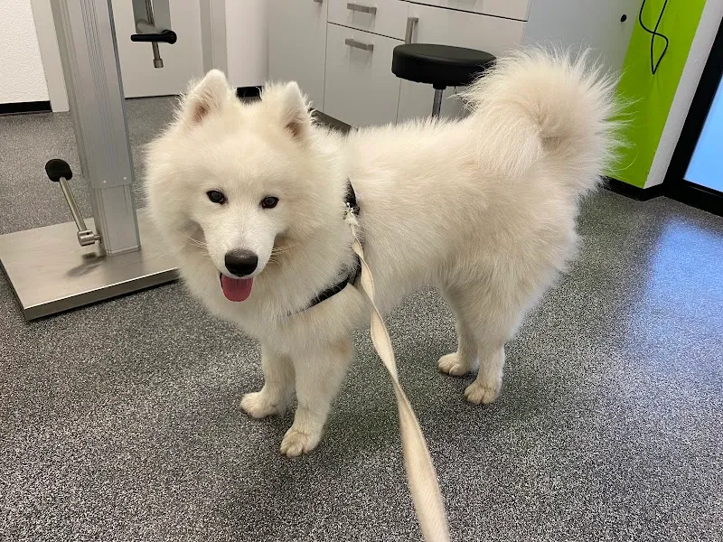 Tierklinik Mellingen (Vetstation AG) — Vétérinaire, Mellingen, Argovie. Foto 3