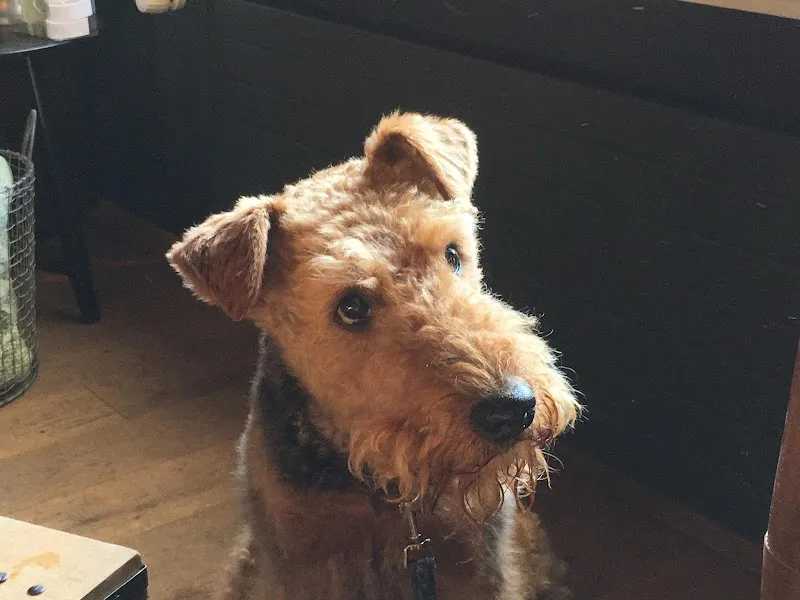 VetTrust Kleintierpraxis Wettingen — Vétérinaire, Wettingen, Argovie. Foto 3