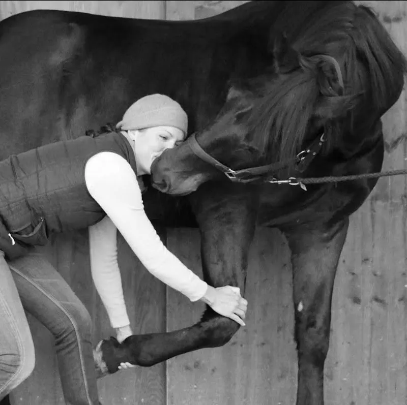 Vetchiropraxis — Tierdienste in Merenschwand, Aargau. Bewertung 5.0/5.