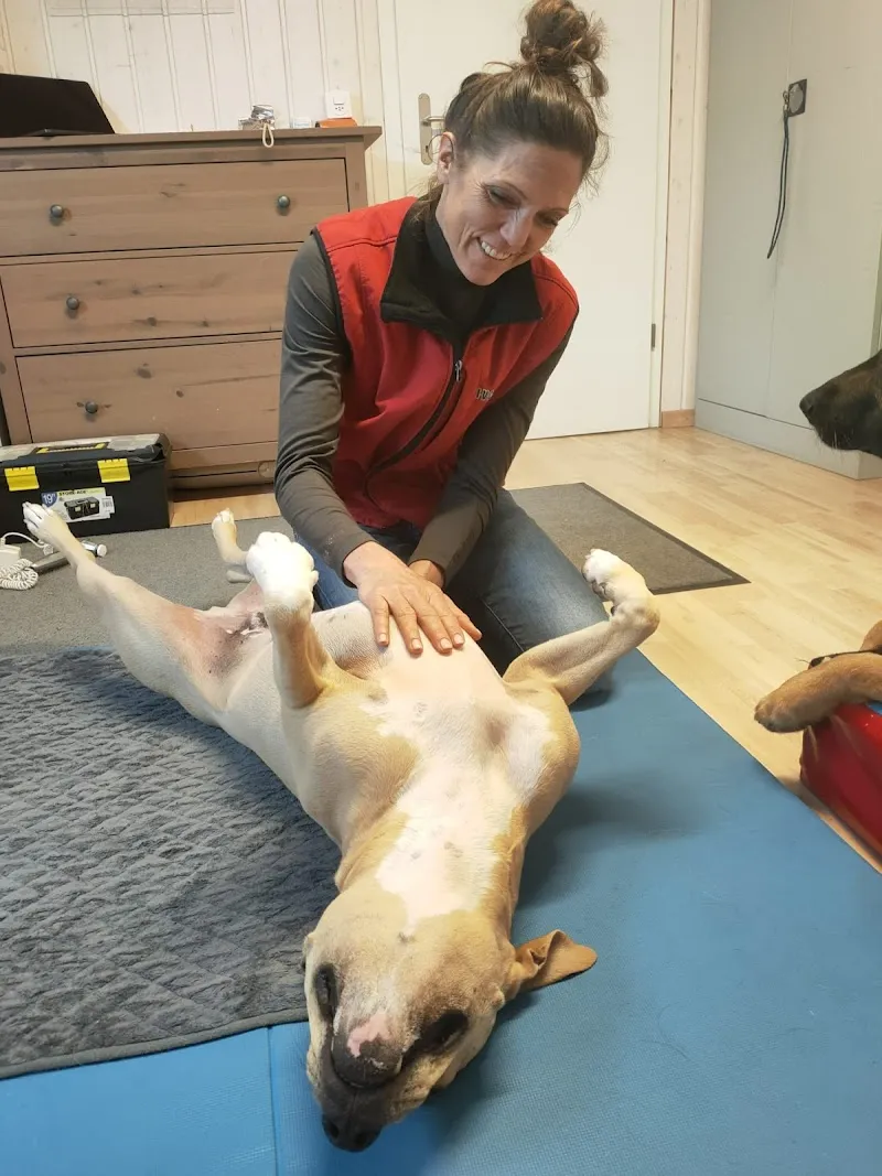 Vetchiropraxis — Tierdienst, Merenschwand, Aargau. Foto 3