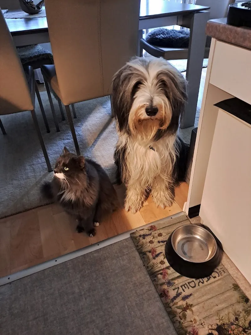 Dr. Henriette Josseck — Vétérinaire, Mörschwil, Saint-Gall. Foto 2