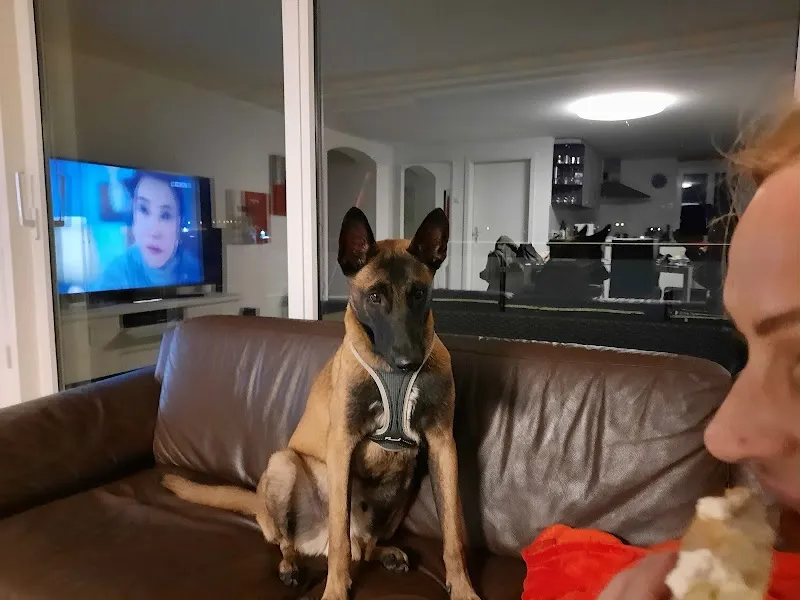 Dr. med. vet. Bentivoglio Filippo — Tierarzt in St. Gallen, St. Gallen. Bewertung 4.8/5.