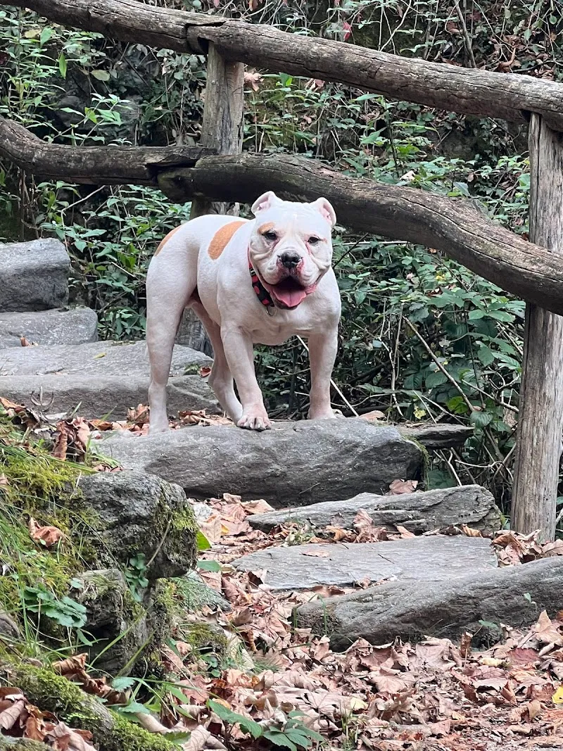 Dr. med. vet. Egger Ralph — Tierarzt in Eggersriet, St. Gallen. Bewertung 5.0/5.