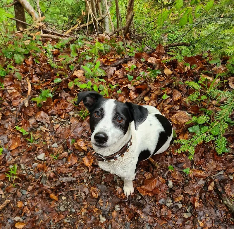 Egger Tierärzte — Vétérinaire, Eggersriet, Saint-Gall. Foto 2