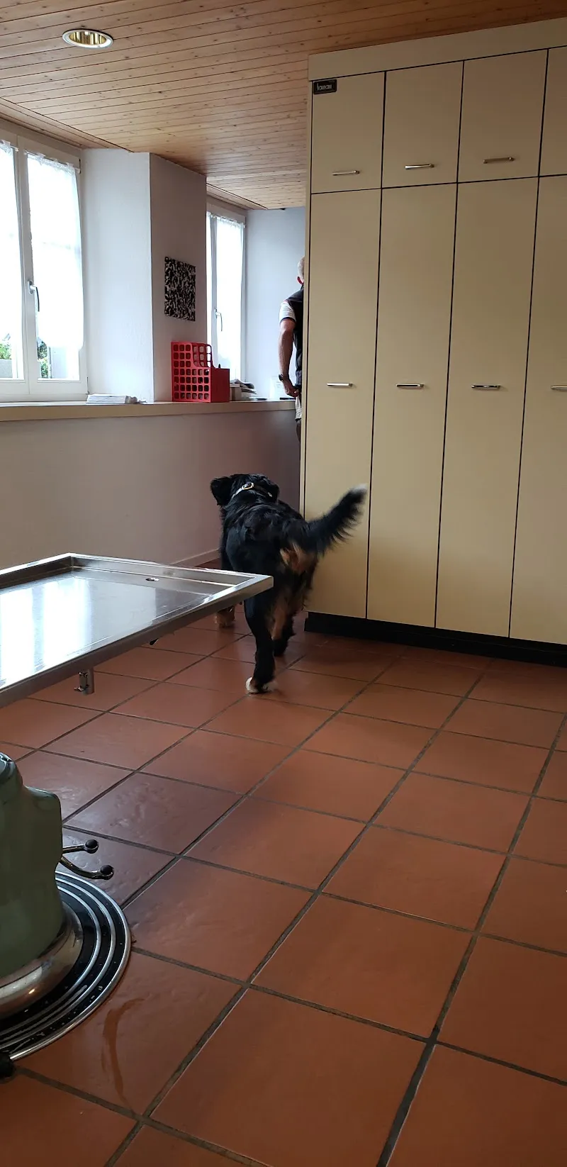 Egger Tierärzte — Vétérinaire, Eggersriet, Saint-Gall. Foto 3