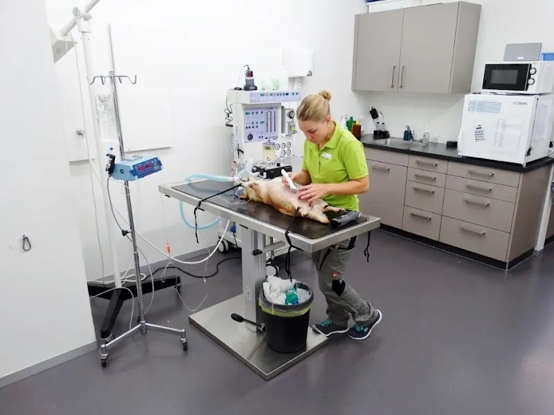 Kleintier-Spezialisten Klinik ARC — Tierarzt in Herisau, Appenzell Ausserrhoden. Bewertung 4.3/5.