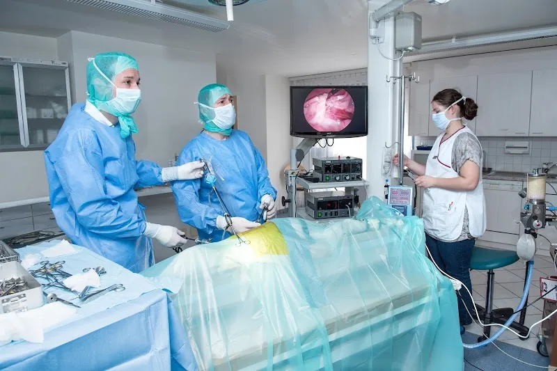 Kleintierklinik Glattfeld AG — Tierarzt in Oberbüren, St. Gallen. Bewertung 4.7/5.