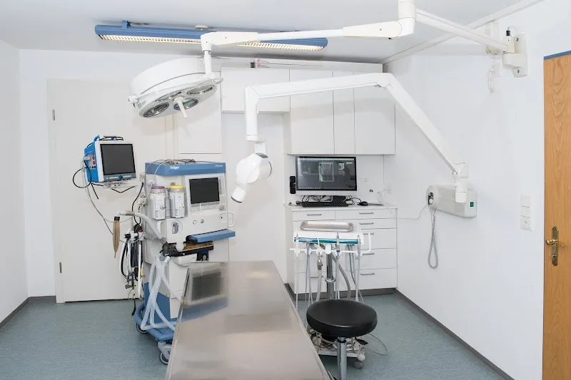 Kleintierklinik Glattfeld AG — Veterinarian, Oberbüren, St. Gallen. Foto 2