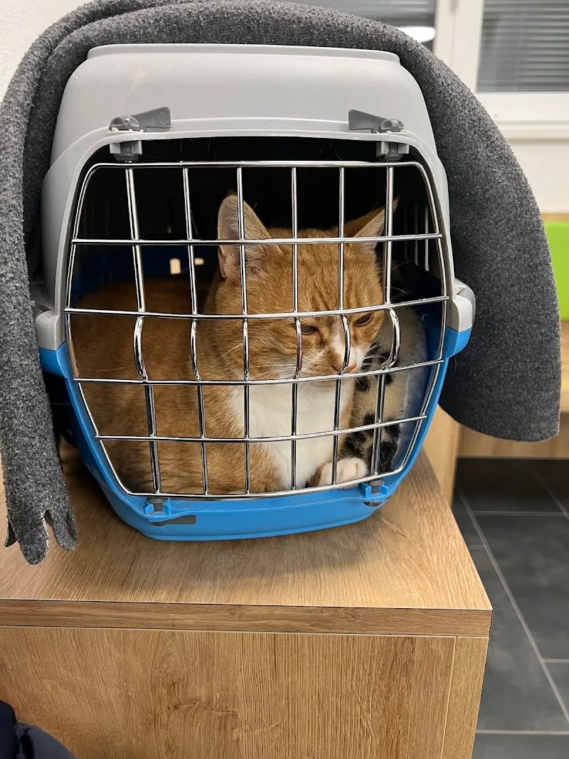 Tierarztpraxis Im Bad AG — Tierarzt in Heiden, Appenzell Ausserrhoden. Bewertung 4.5/5.