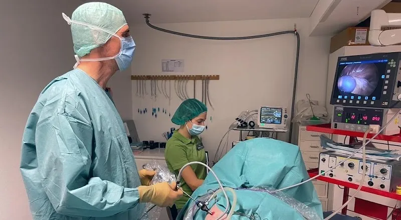 Tierklinik Lindenhof AG — Tierarzt in Bischofszell, Thurgau. Bewertung 4.6/5.