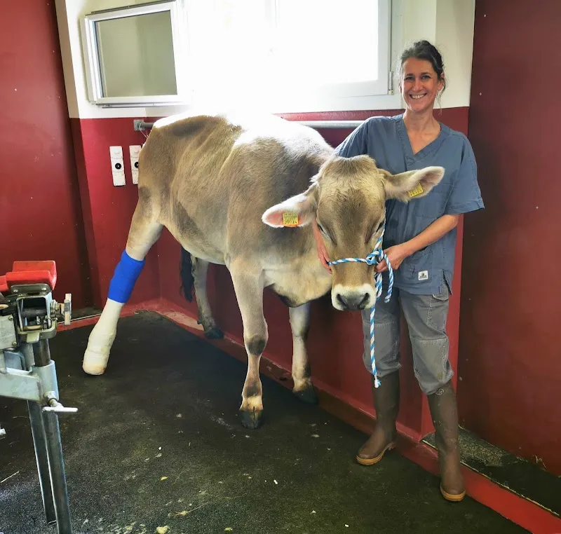 Tierklinik im Fürtli AG — Tierarzt in Urnäsch, Appenzell Ausserrhoden. Bewertung 4.8/5.