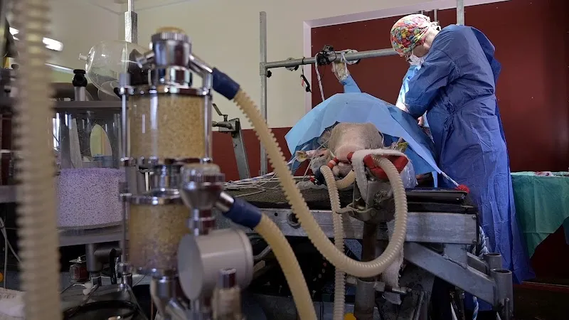 Tierklinik im Fürtli AG — Vétérinaire, Urnäsch, Appenzell Rhodes-Extérieures. Foto 2