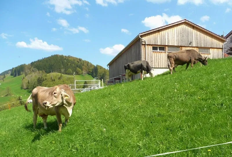 Tierklinik im Fürtli AG — Vétérinaire, Urnäsch, Appenzell Rhodes-Extérieures. Foto 3