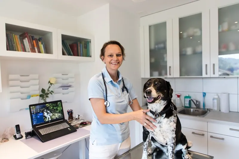 VET ON WHEELS – mobile und stationäre Kleintierpraxis — Tierarzt in Bühler, Appenzell Ausserrhoden. Bewertung 5.0/5.