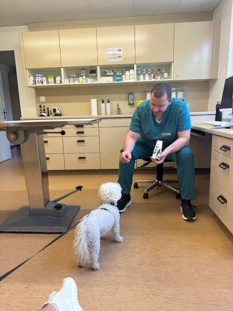 VetCenter St. Gallen — Vétérinaire, St. Gallen, Saint-Gall. Foto 3