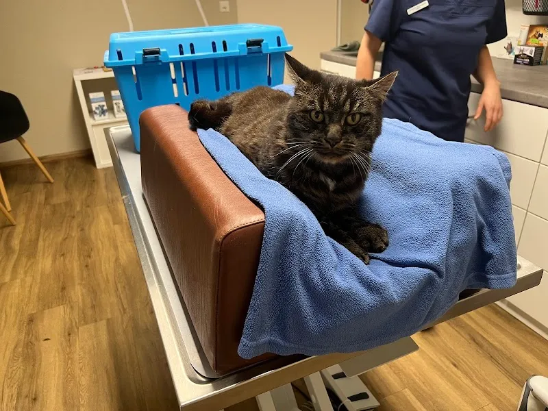 VetTrust Kleintierpraxis St. Gallen Ost — Tierarzt in St. Gallen, St. Gallen. Bewertung 4.6/5.