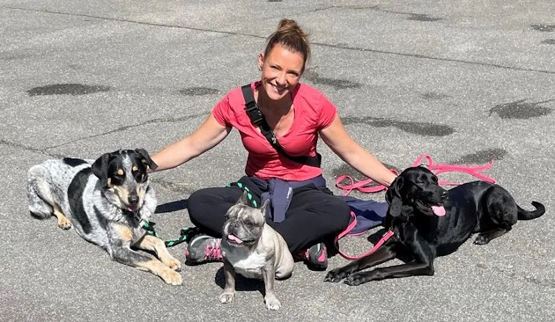 DOGSCOCOON — Tierdienst, Busswil bei Büren, Bern. Foto 3