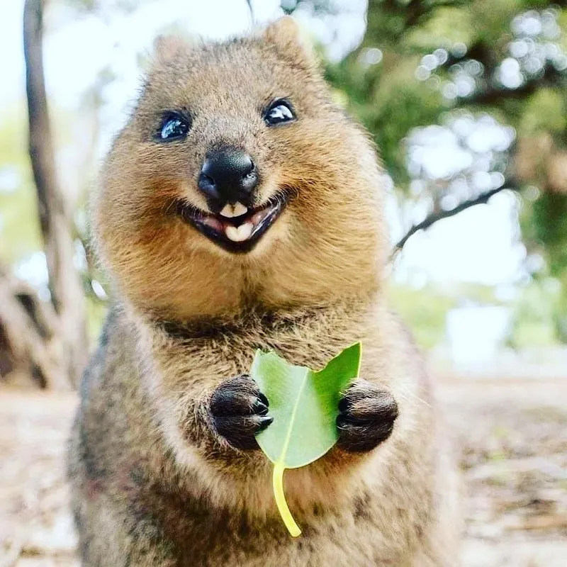Veterinäramt — Tierheim in Herisau, Appenzell Ausserrhoden. Bewertung 3.0/5.