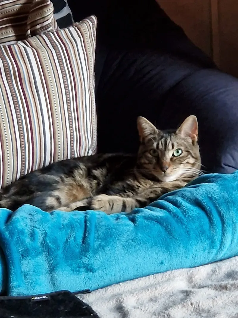 Tierärzte Büchel + Schenk AG — Vétérinaire, Oberriet, Saint-Gall. Foto 2