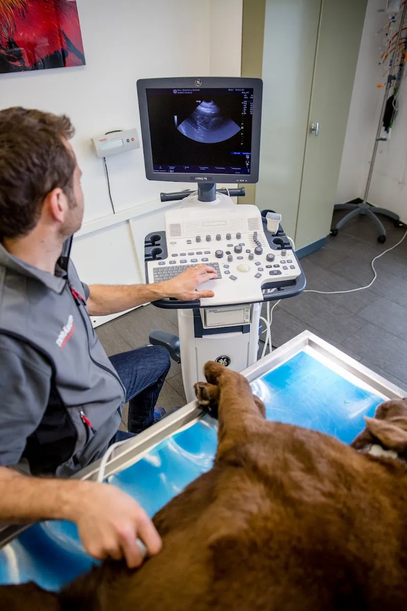 Tierärzte Büchel + Schenk AG — Vétérinaire, Oberriet, Saint-Gall. Foto 3