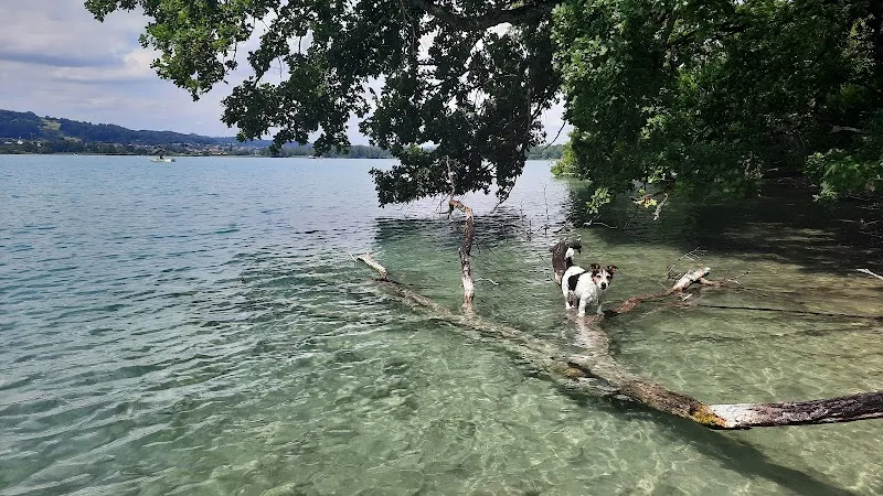 Judith Hess - Oberdorf — Tierarzt, Oberdorf, Basel-Landschaft. Foto 2