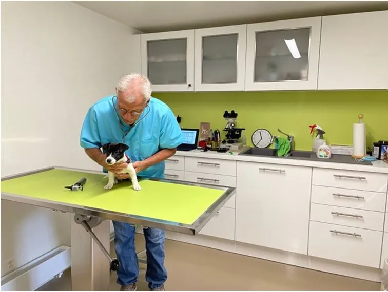 Kleintierpraxis Bachgraben Daniel Stauffer — Tierarzt in Allschwil, Basel-Landschaft. Bewertung 4.7/5.