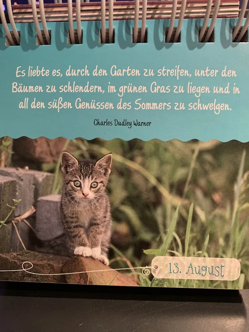 Kleintierpraxis Flohnäscht — Tierarzt in Lausen, Basel-Landschaft. Bewertung 4.7/5.