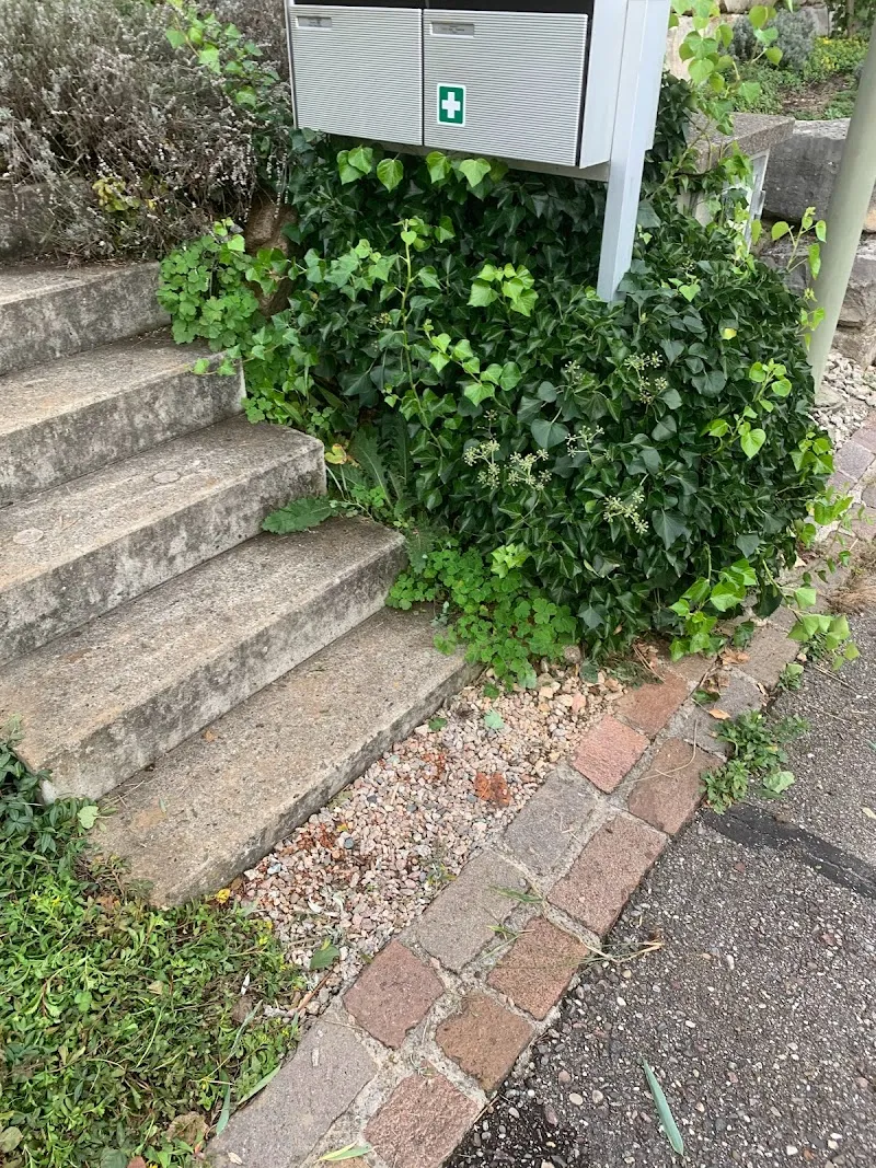 Kleintierpraxis Flohnäscht — Vétérinaire, Lausen, Bâle-Campagne. Foto 3