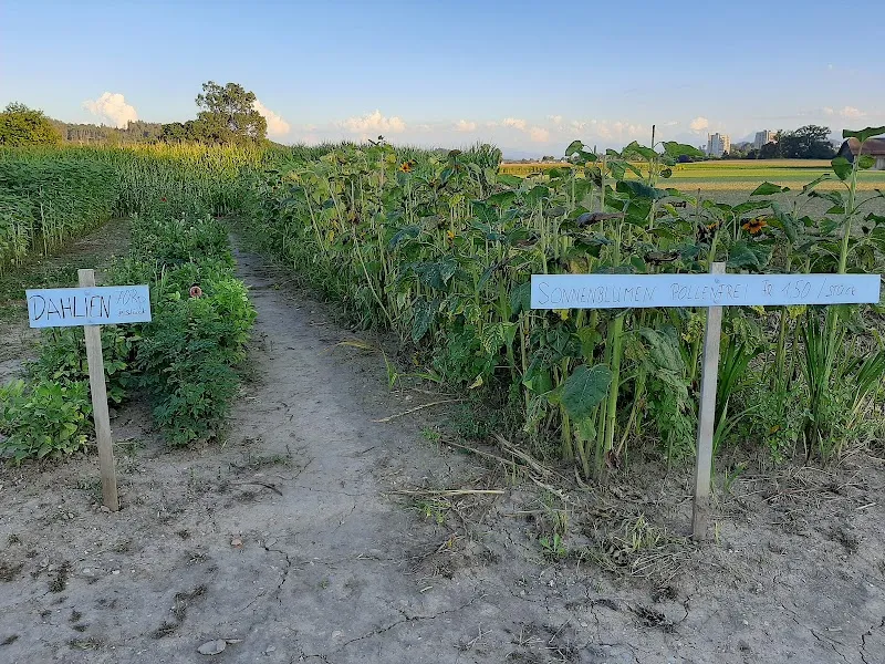 Gosteli Sonja — Pension pour chats, Ostermundigen, Berne. Foto 2