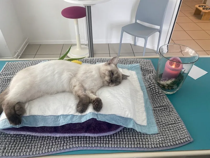 Kleintierpraxis Klaus — Tierarzt in Frenkendorf, Basel-Landschaft. Bewertung 4.8/5.