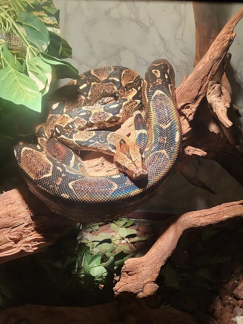 Kleintierpraxis Klaus — Tierarzt, Frenkendorf, Basel-Landschaft. Foto 3