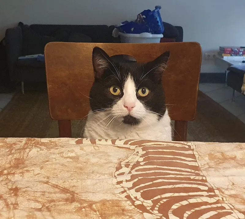 Kleintierpraxis med.vet. Stefan Hagen — Tierarzt in Reinach, Basel-Landschaft. Bewertung 4.8/5.