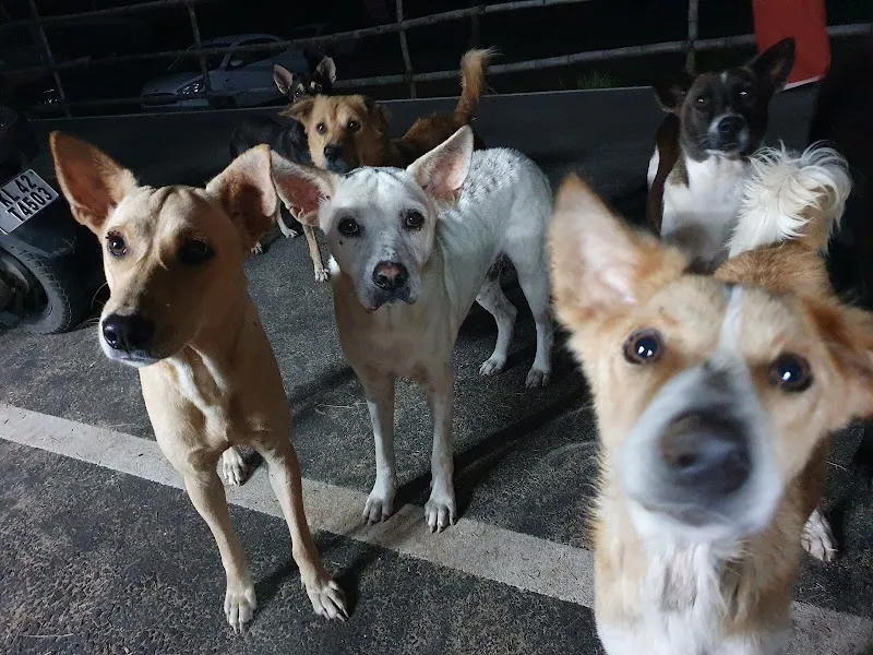 Kleintierpraxis med.vet. Stefan Hagen — Tierarzt, Reinach, Basel-Landschaft. Foto 2