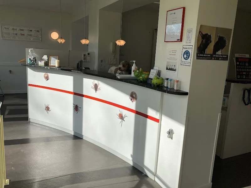 Salina Vetteam GmbH — Veterinarian, Rheinfelden, Aargau. Foto 2