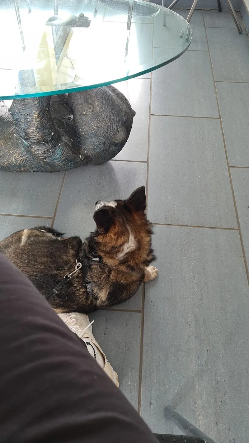 Tierarztpraxis Biner Paul und Marie-M. — Vétérinaire, Bubendorf, Bâle-Campagne. Foto 2