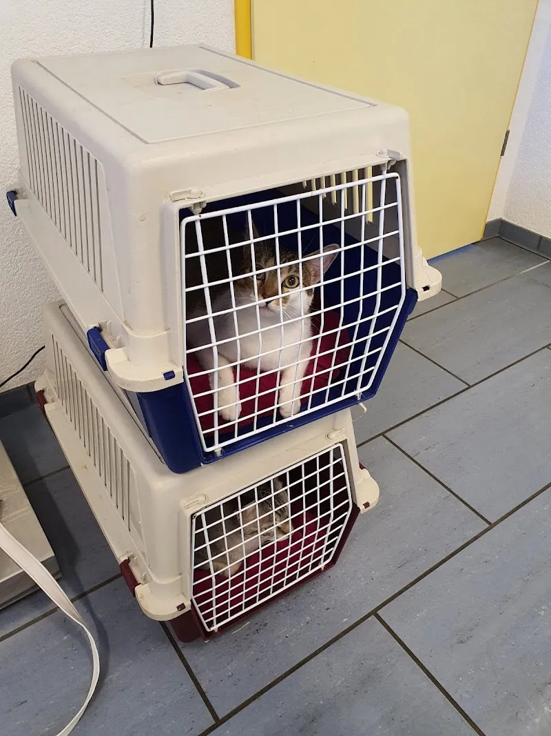 Tierarztpraxis Biner Paul und Marie-M. — Vétérinaire, Bubendorf, Bâle-Campagne. Foto 3