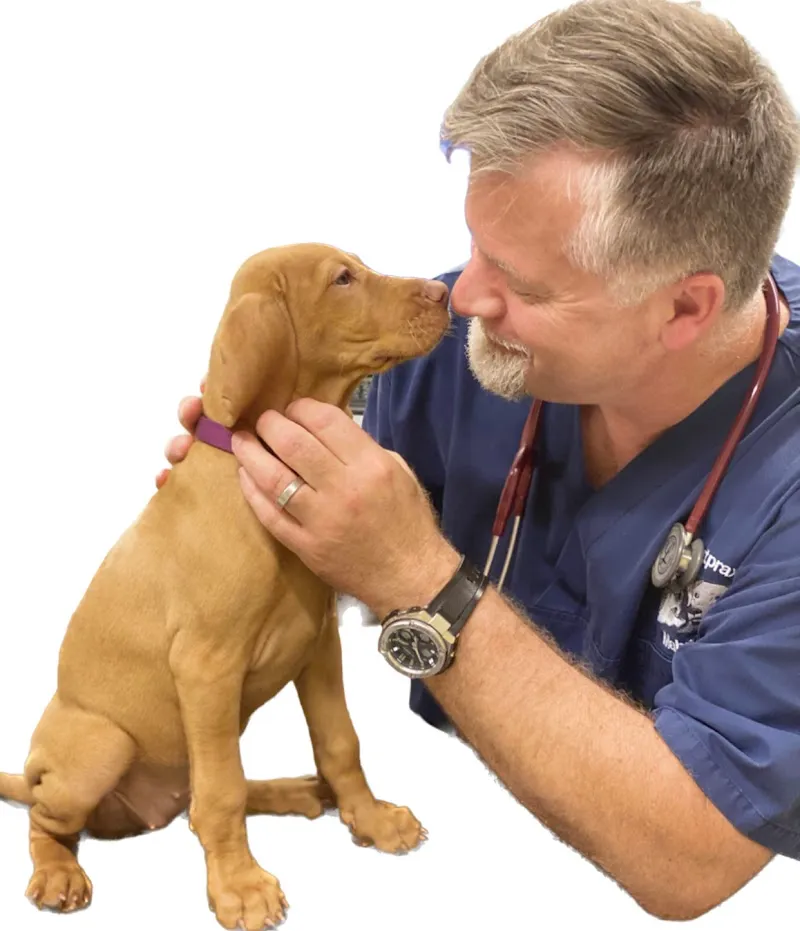 Tierarztpraxis Mahncke, Kleintiermedizin, Bioresonanztherapie für Tier und Mensch — Tierarzt, Giebenach, Basel-Landschaft. Foto 3
