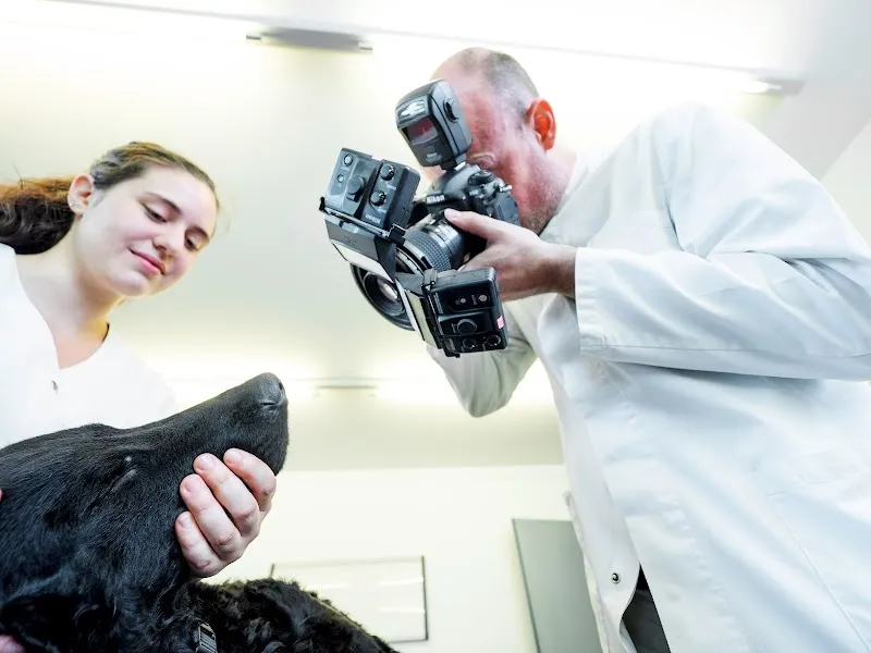 Tierarztpraxis Rupphübel — Vétérinaire, Beinwil am See, Argovie. Foto 3