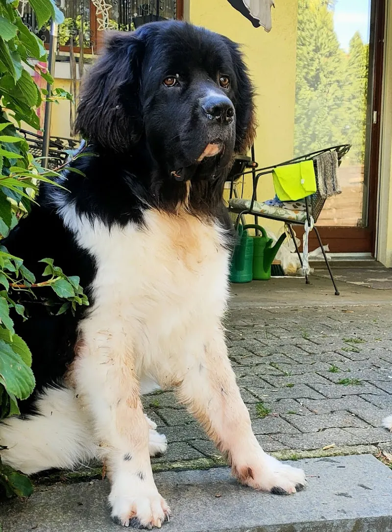 Tierarztpraxis im Rank — Veterinarian, Beinwil am See, Aargau. Foto 3